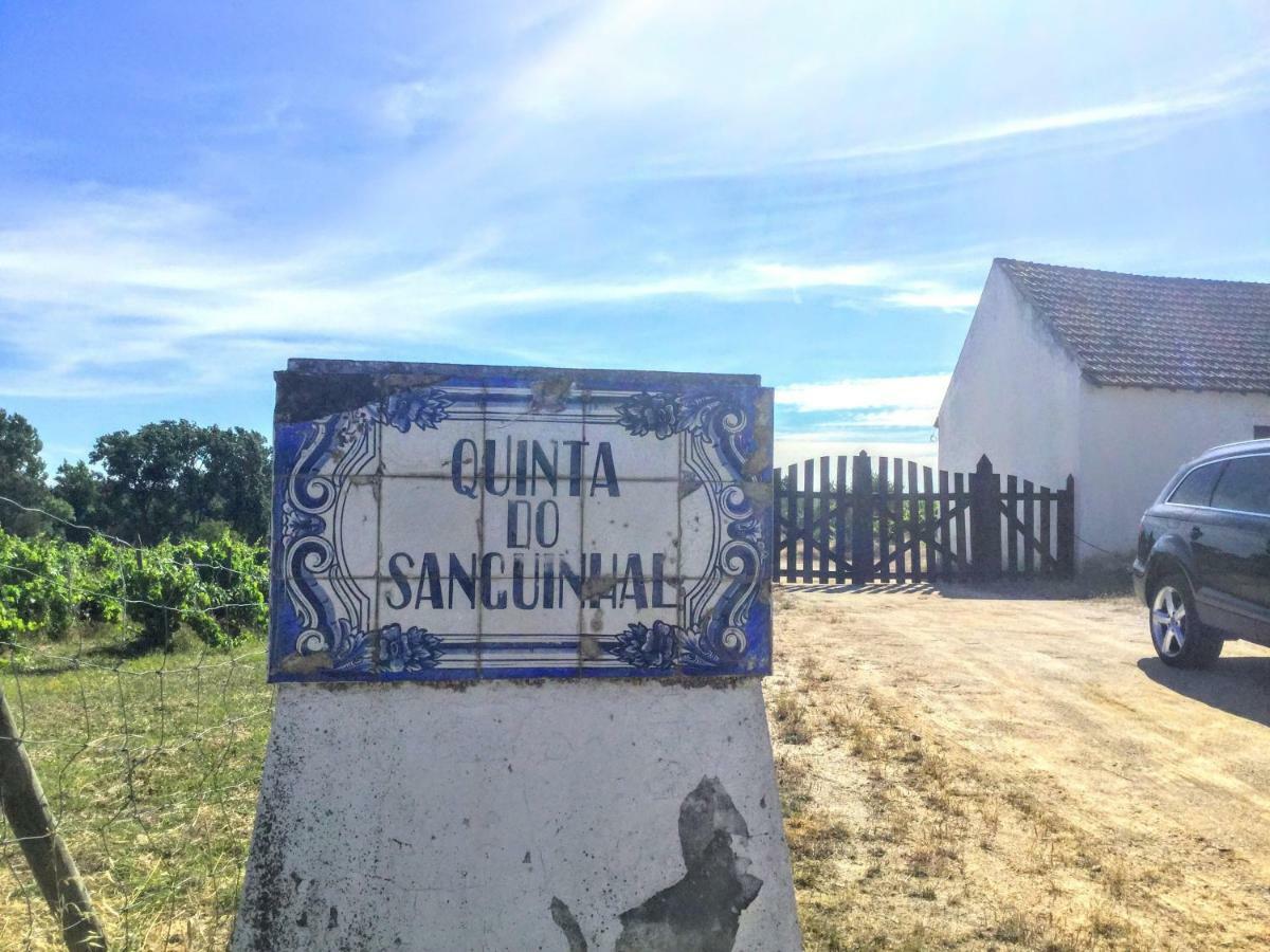 리오마요르 Quinta Do Sanguinhal 빌라 외부 사진